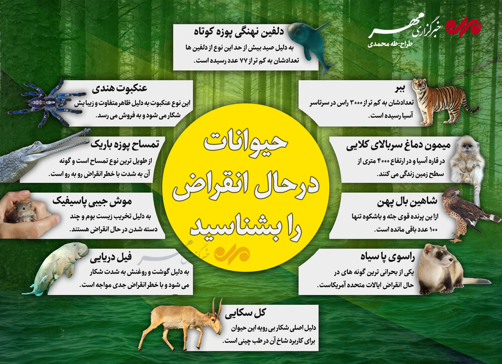 حیوانات در حال انقراض را بشناسید