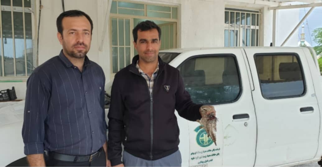 جغد زخمی به محیط زیست بردخون تحویل شد