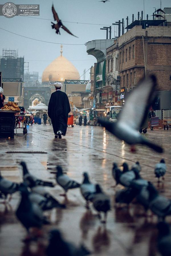 حال و هوای بارانی حرم مطهر حضرت علی(ع)