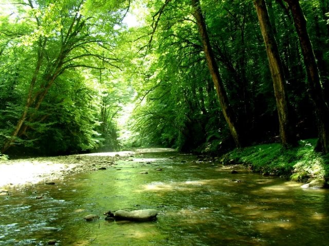 به شهر مرکبات سفر کنید و طعم طبیعت را بچشید