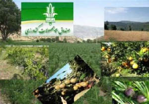 فرصت مجدد بیمه محصولات زراعی تا پایان آذرماه در مهاباد