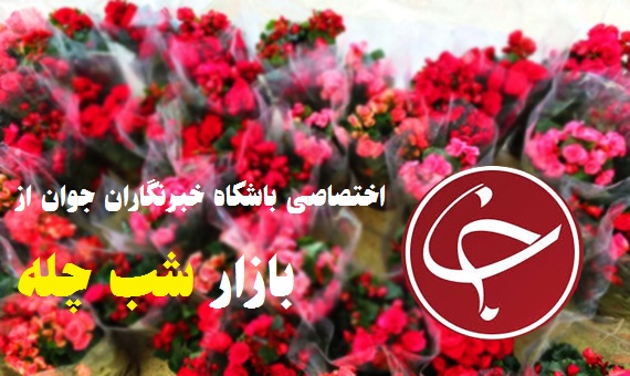 گل های تزئینی شب یلدا رسید / صادرات گلهای ایرانی به روسیه و قزاقستان