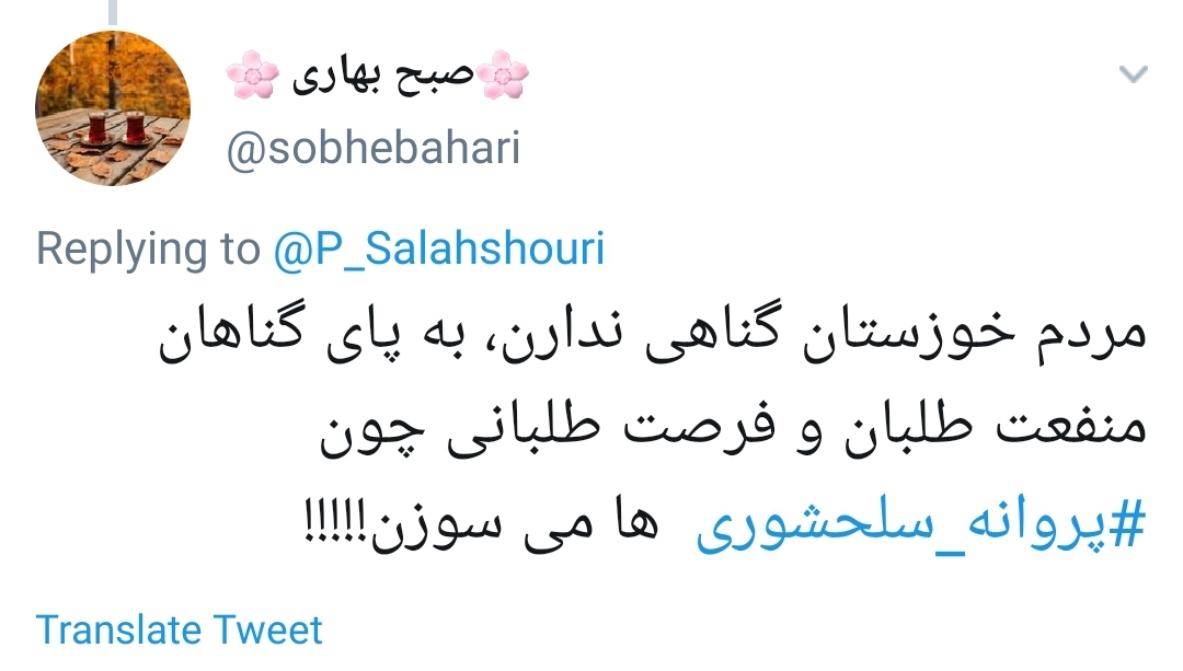 پروانه سلحشوری