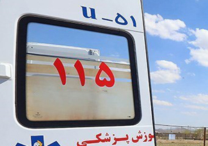 تولد دو نوزاد دختر و پسر در آمبولانس اورژانس