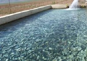 نرم افزار مکانیابی سازه‌های آبخیزداری در کردستان طراحی شد