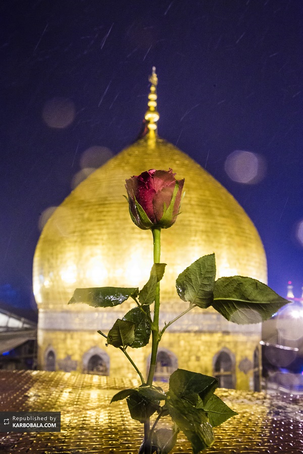 شب زیارتی امام حسین (ع) و تصاویری زیبا از کربلای معلی شب زیارتی امام حسین (ع) و تصاویری زیبا از کربلای معلی