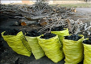 کشف و ضبط ۴۲ کیسه ذغال قاچاق در شهرستان مریوان