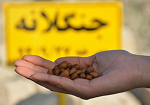اجرای طرح ملی جنگلانه همزمان با سراسر کشور در فارس