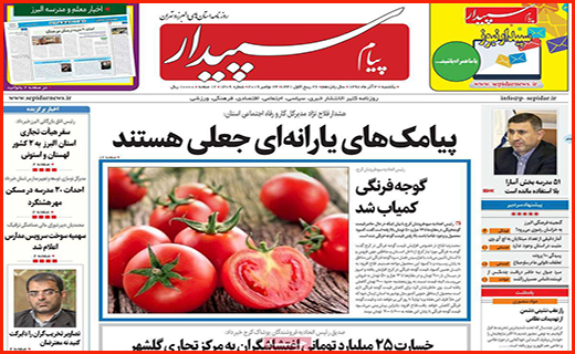 ایست به گرانی لوازم خانگی/بانک ها چه هیزم تری فروخته اند؟/ شهری که بی قواره قد می کشد