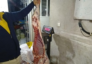 توزیع گوشت گوسفند با قیمت تعادلی در بیرجند / مردم نگران نباشند