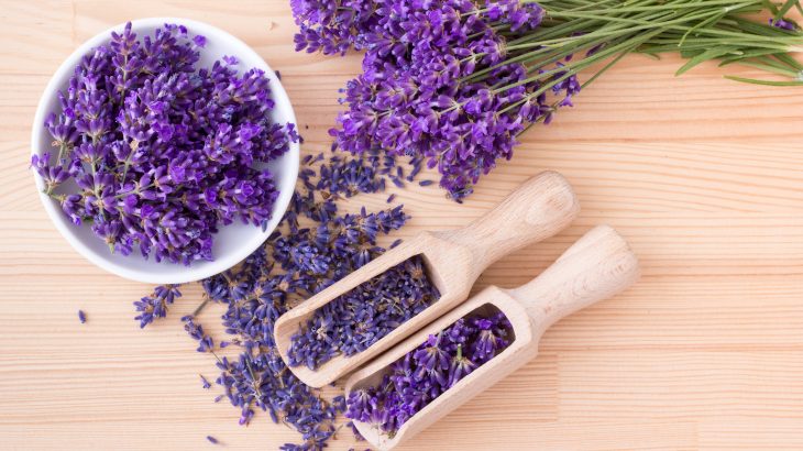 دمنوش اسطوخودوس برای درمان بیماری&zwnj;های عصبی