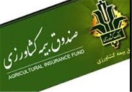 آغاز بیمه محصولات زراعی و باغی در گیلان