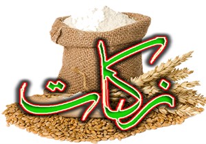 پرداخت حدود ۳۰ میلیارد تومان زکات / ۱۲۴ نوعروس با پول زکات، راهی خانه بخت شدند