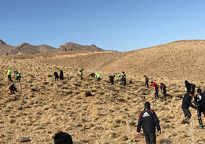 منابع طبیعی اقلید سبز شد