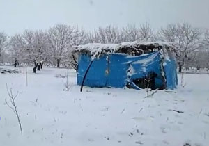 روستای تکه جامه سفید برتن کرد + فیلم