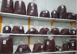 خرید حمایتی هزار کیلوگرم زعفران خشک از زعفرانکاران خراسان جنوبی
