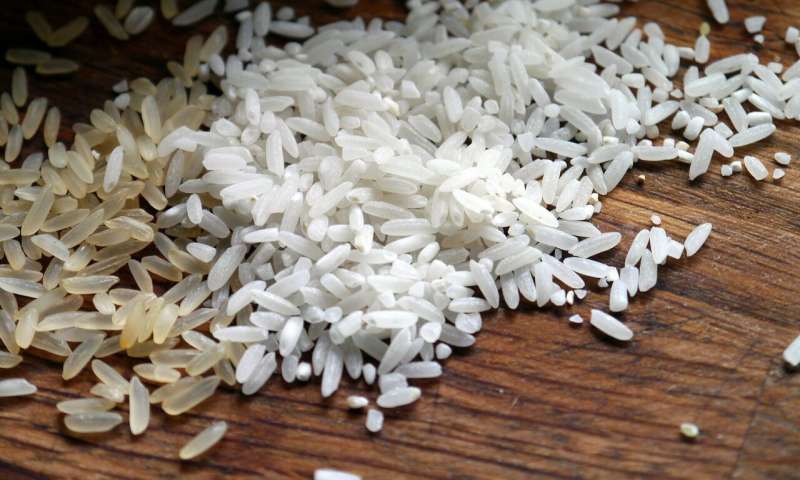 هوش مصنوعی 
