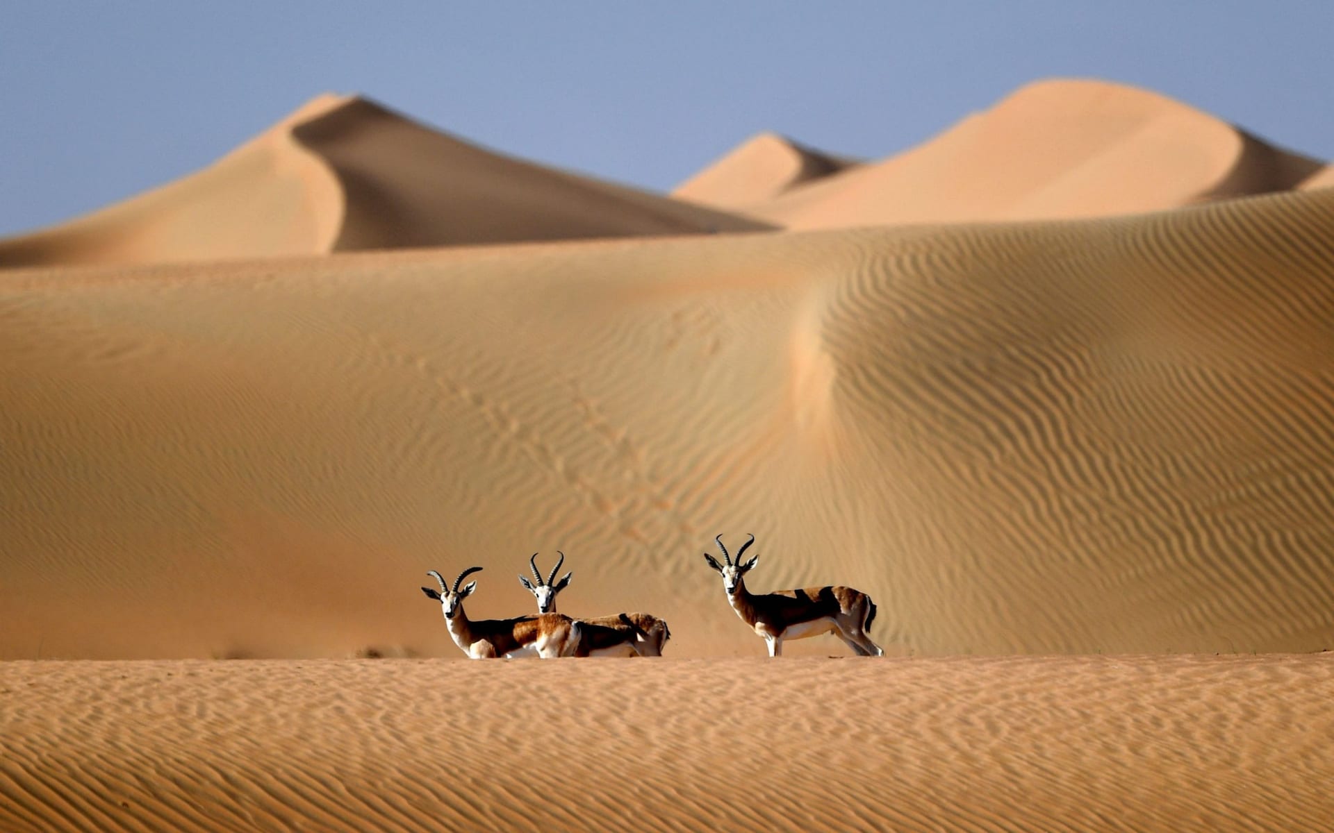 تصاویر روز: از