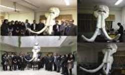 بازسازی جمجمه فسیل ۲ میلیون ساله در زنجان