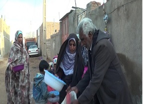اهداء گل زعفران به عتبات عالیات