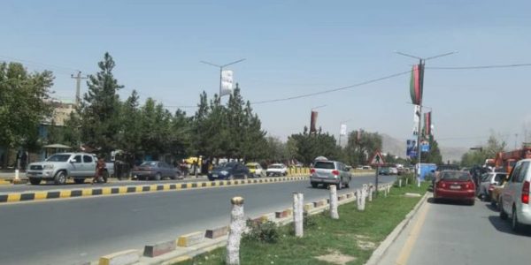 شرکتی که درختان جاده فرودگاه کابل را قطع کرده بود جریمه شد