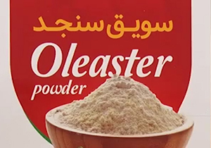 تولید سویق از سنجد در سمنان + فیلم