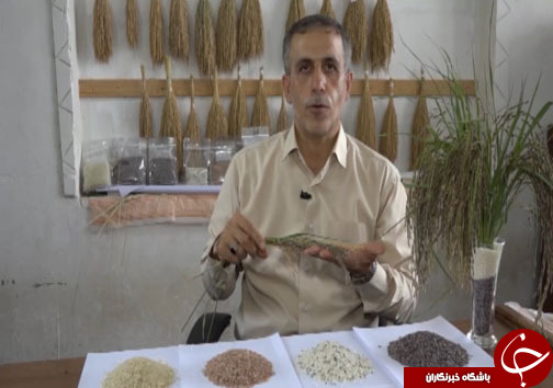 برنج&zwnj;های رنگی که اشتها را دو چندان می&zwnj;کنند + تصاویر و فیلم