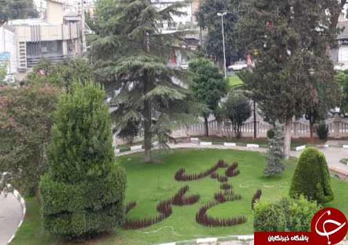 برنج&zwnj;های رنگی که اشتها را دو چندان می&zwnj;کنند + تصاویر و فیلم