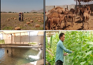 بهره برداری از ۳۸۷ طرح اقتصاد مقاومتی در استان اصفهان