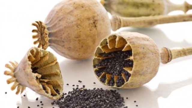 کاهش ۹۱ درصدی اعدام‌ها در حوزه قاچاق موادمخدر طی ۲ سال اخیر