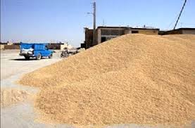 کشف ۳ انبار احتکار گندم در لارستان