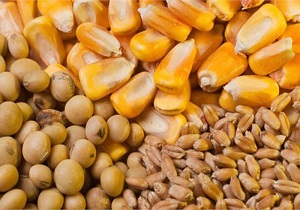 آغاز مرحله اجرایی سامانه بازارگاه نهاده‌های کشاورزی