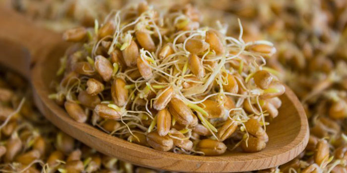 از بین بردن منافذ پوست با جوانه گندم