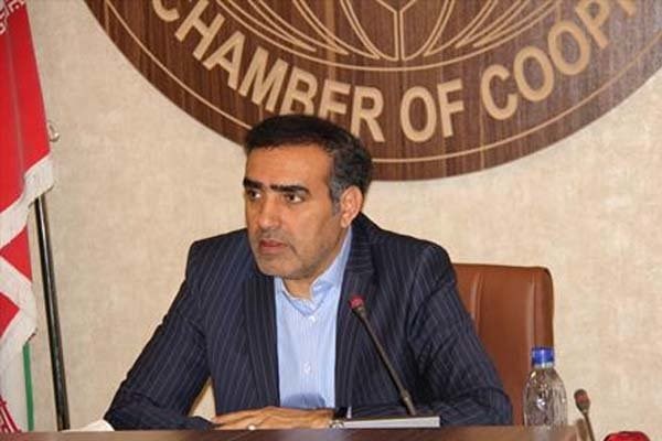 اجرایی شدن سند توسعه تعاون در آینده نزدیک/ دیدار با رهبر انقلاب تجدید حیاتی برای تعاونی&zwnj;ها بود