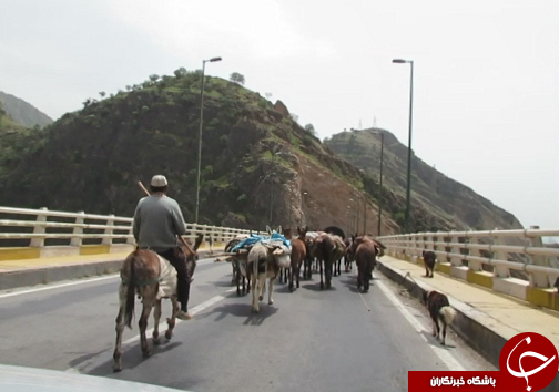 مناطق قشلاقی خوزستان پذیرای عشایر کوچرو/ارائه خدمات بی مرز تا آخرین لحظات
