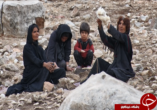 مناطق قشلاقی خوزستان پذیرای عشایر کوچرو/ارائه خدمات بی مرز تا آخرین لحظات