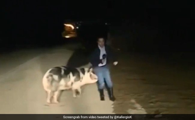 اتفاق جالب برای گزارشگر حین گزارش زنده تلویزیونی!//