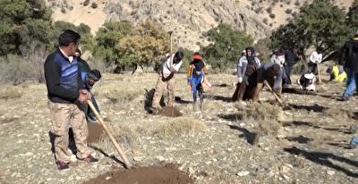 دست مهربانی بر روی طبیعیت در یک روستای دوردست + فیلم