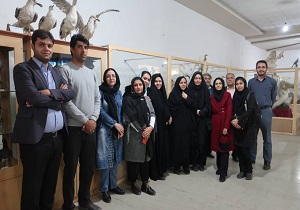 خبرنگاران یزد به بهاباد رفتند