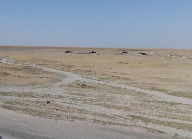 ورود آب از فراه رود افغانستان به تالاب هامون خشکیده در سیستان