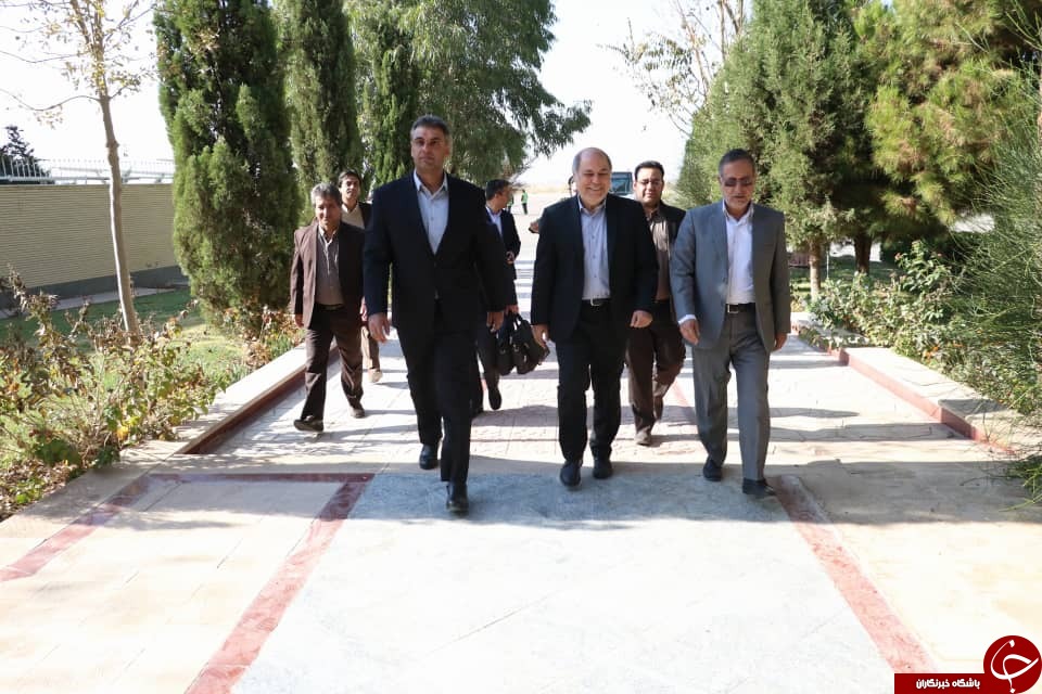 معاون وزیر ورزش وارد کرمان شد + تصاویر