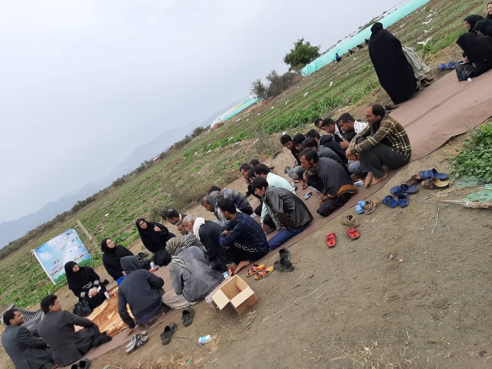 برگزاری روز مزرعه سبزیجات برگی در شهرستان کهنوج