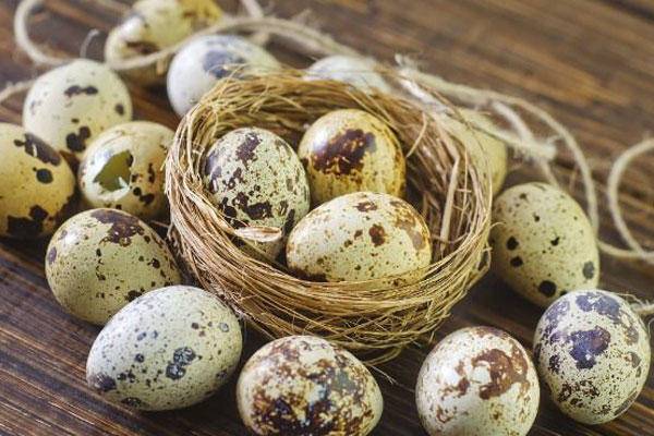 نرخ مصوب تخم بلدرچین بسته بندی در غرفه های تره بار