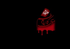 قم در سالروز شهادت باب الحوائج به سوگ نشست