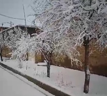 سفیدپوش شدن روستای معصوم آباد در دهمین روز از سال نو + فیلم