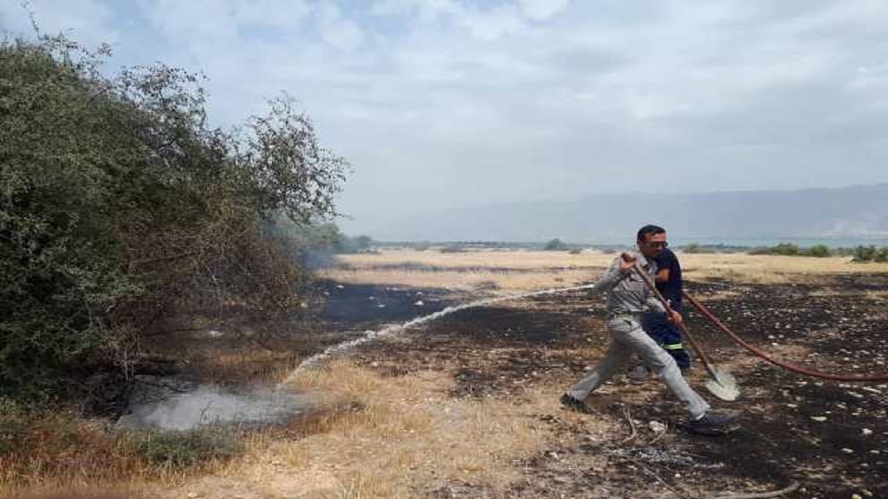 آتش سوزی ها در مناطق حفاظت شده بوشهر مهار شد