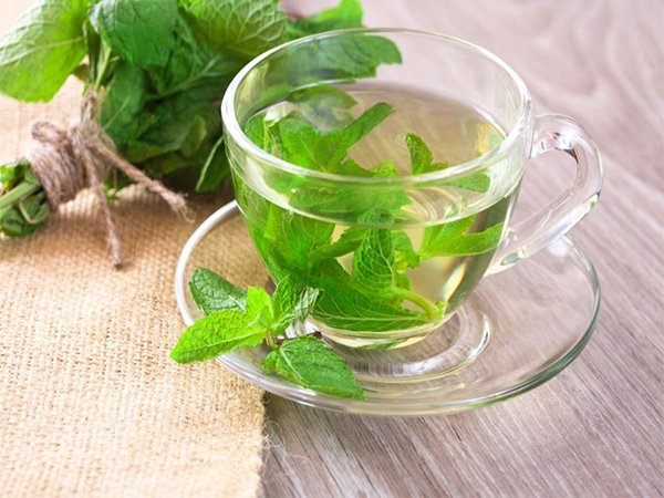 گیاه خوش عطری که بانوان باردار باید در مصرف آن احتیاط کنند.
