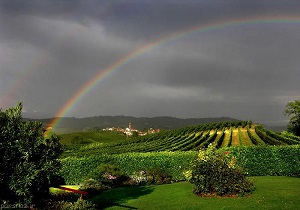 نمای رنگین‌کمان از آسمان! + فیلم