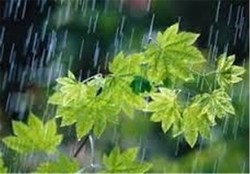 بارش بهاری باران از فردا استان زنجان را فرا می&zwnj;گیرد