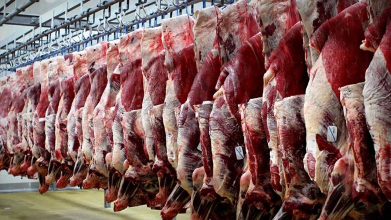 عرضه دام کماکان در حال انجام است